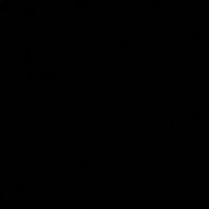 Meet your Posher, Aryeh